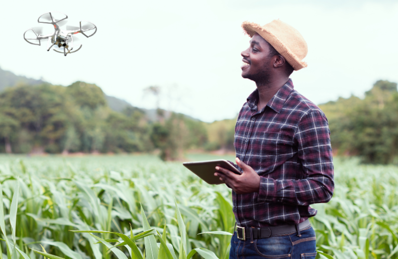 Yield Prediction Analytics