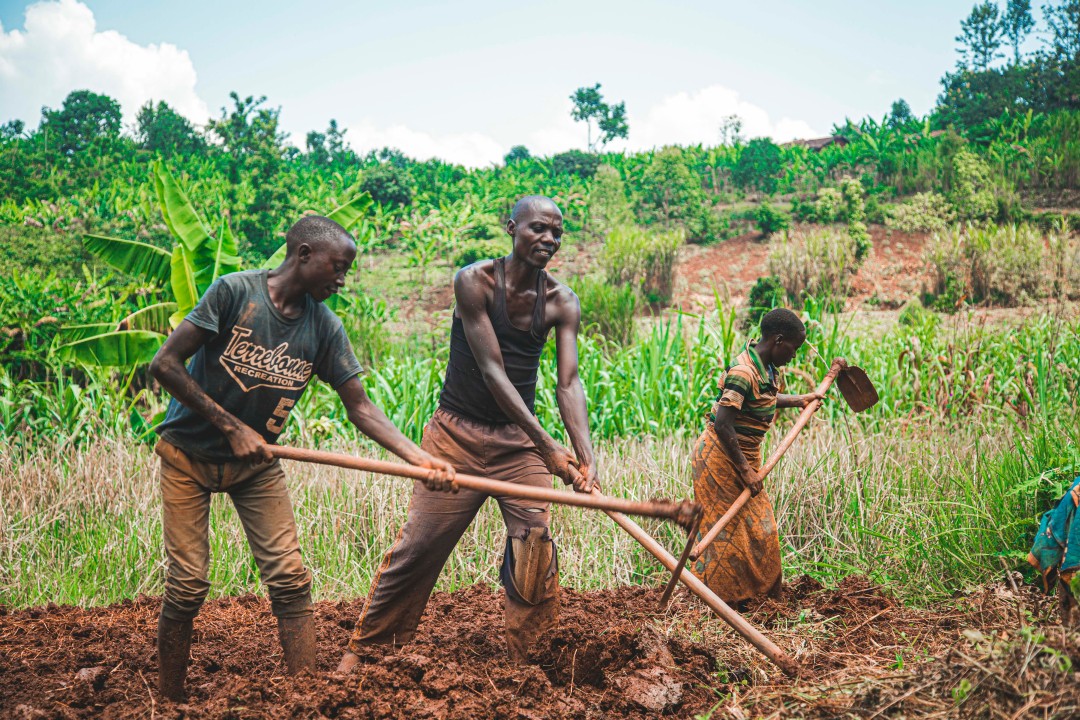 Smart Irrigation System